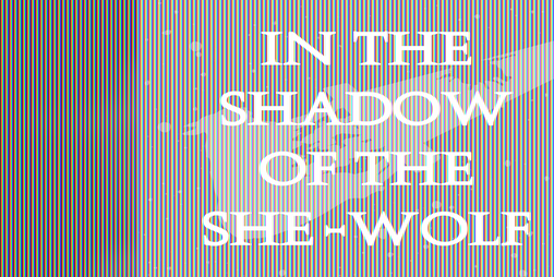 Cover image for In the Shadow of the She-Wolf