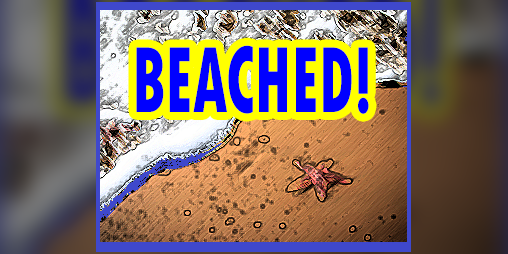 Cover image for Beached! (Open Source)