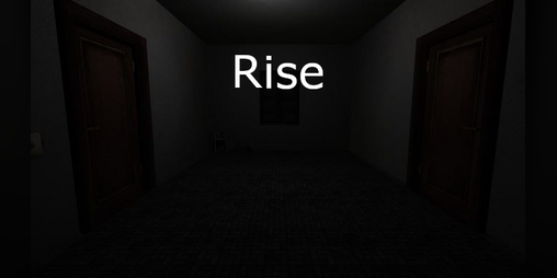 Cover image for Rise
