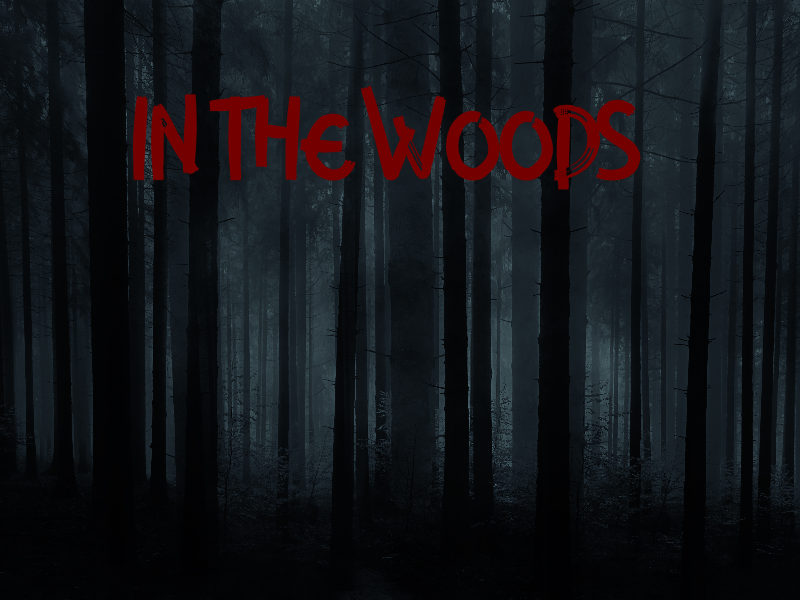 Cover image for In the woods