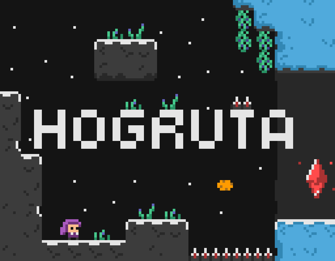 Cover image for Hogruta