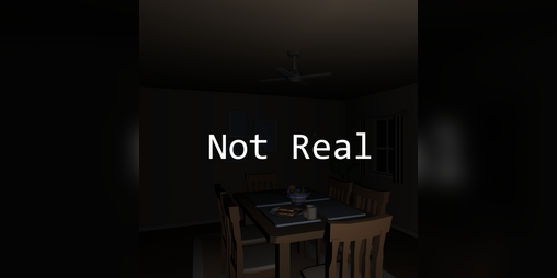 Cover image for Not Real
