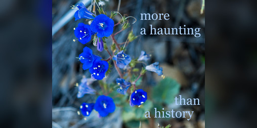 Cover image for More a Haunting than a History