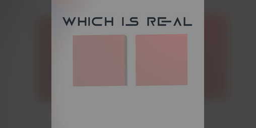 Cover image for Which Is Real