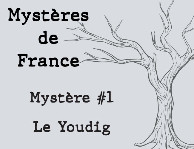 Cover image for Mystères de France - 01 - Le Youdig