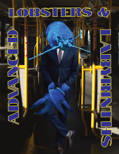 Cover image for Advanced Lobsters & Labyrinths