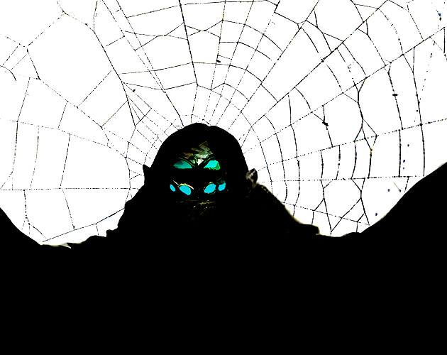 Cover image for The spider on the wall