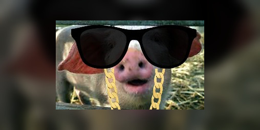 Cover image for Hoggers: The Hoggening