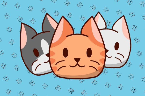 Cat n Baskets