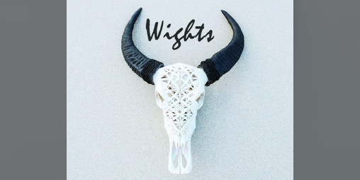 Cover image for Wights