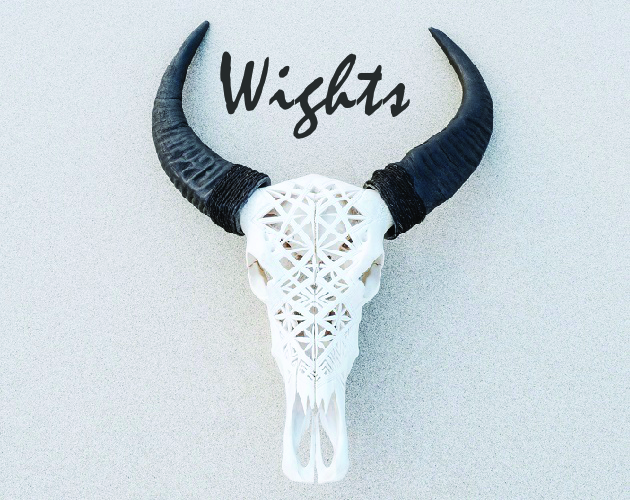 Cover image for Wights