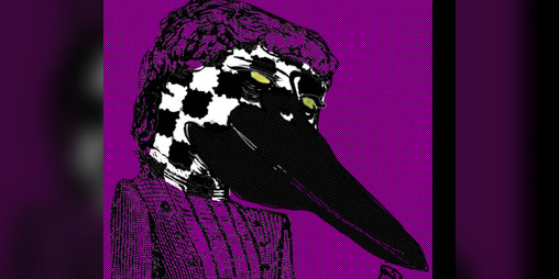 Cover image for Checkerbeak