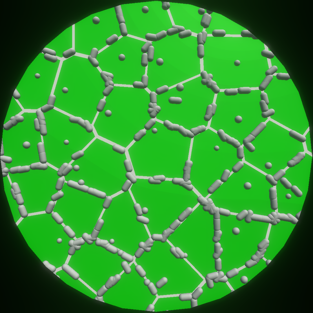 Microscope Simulation by Sedetius