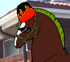 Heppapeli