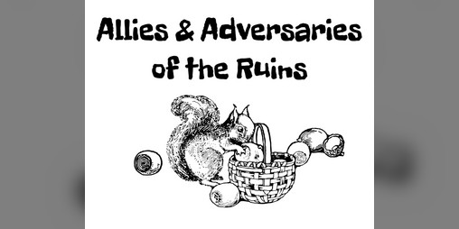 Cover image for Allies & Adversaries of the Ruins