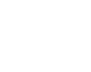 Pong