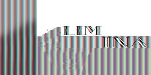 Cover image for Limina