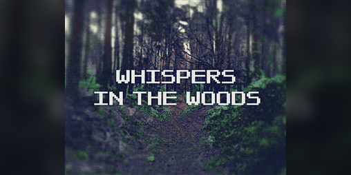 Cover image for Whispers in the Woods