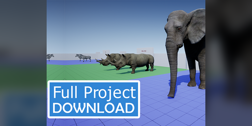 Cover image for Animal Blueprint
