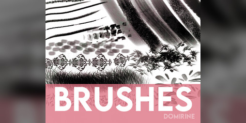Cover image for BRUSHES
