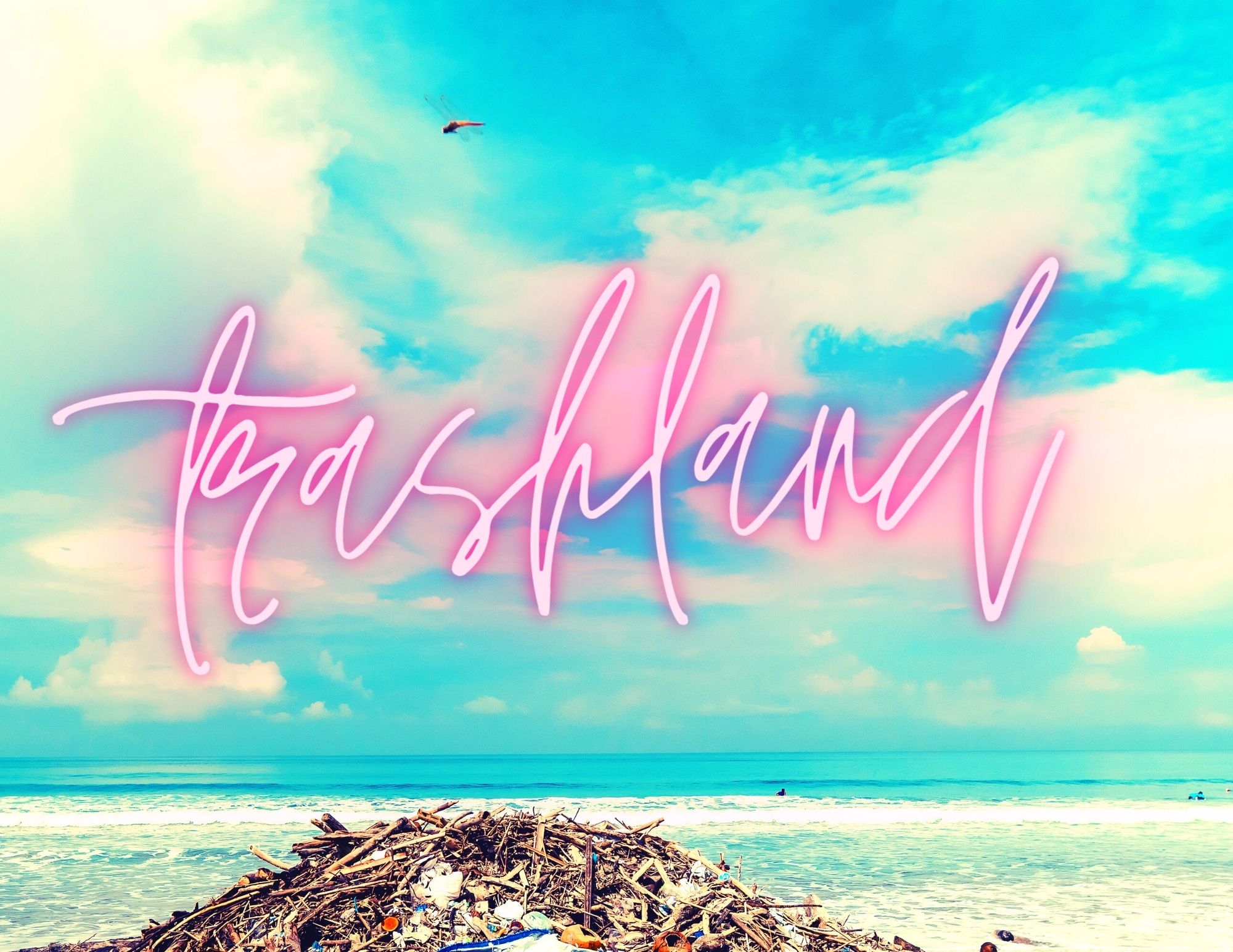 Cover image for Trashland