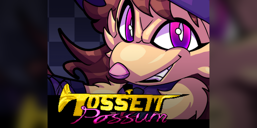Cover image for Toss'Em Possum