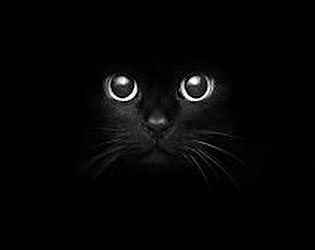 Cat Runner