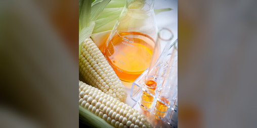 Cover image for Drink Your Corn Syrup