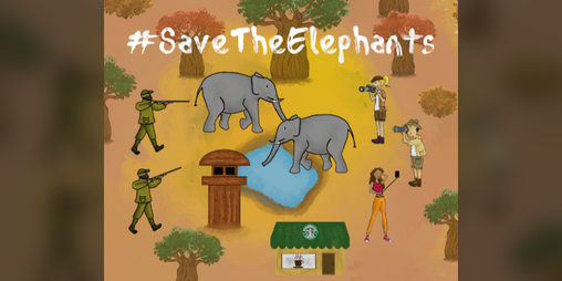 Cover image for #SaveTheElephants