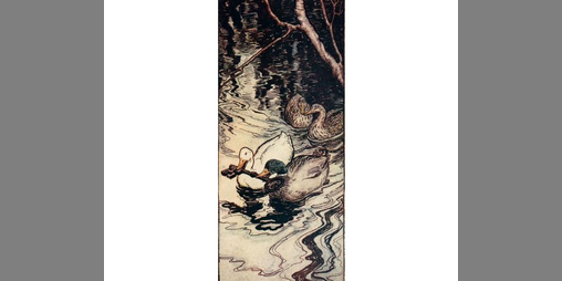 Cover image for The Ducks Once Saved