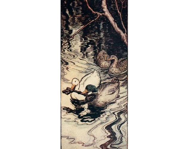 Cover image for The Ducks Once Saved