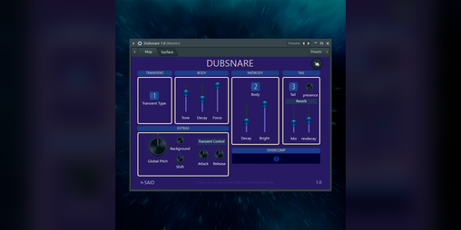 Cover image for DUBSNARE