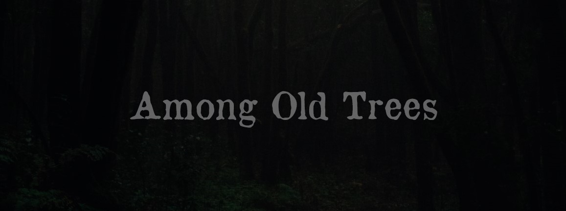 Among Old Trees