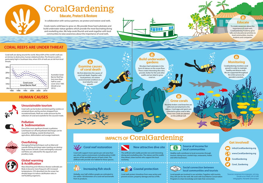 Coral Gardening: Educate, Protect & Restore