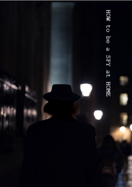 Cover image for how to be a spy at home