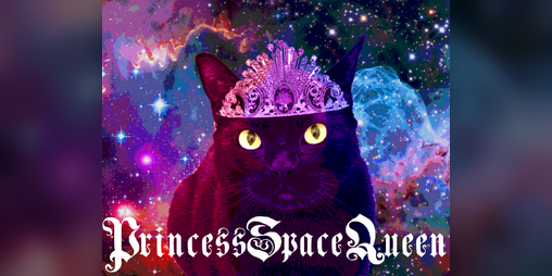 Cover image for Princess Space Queen