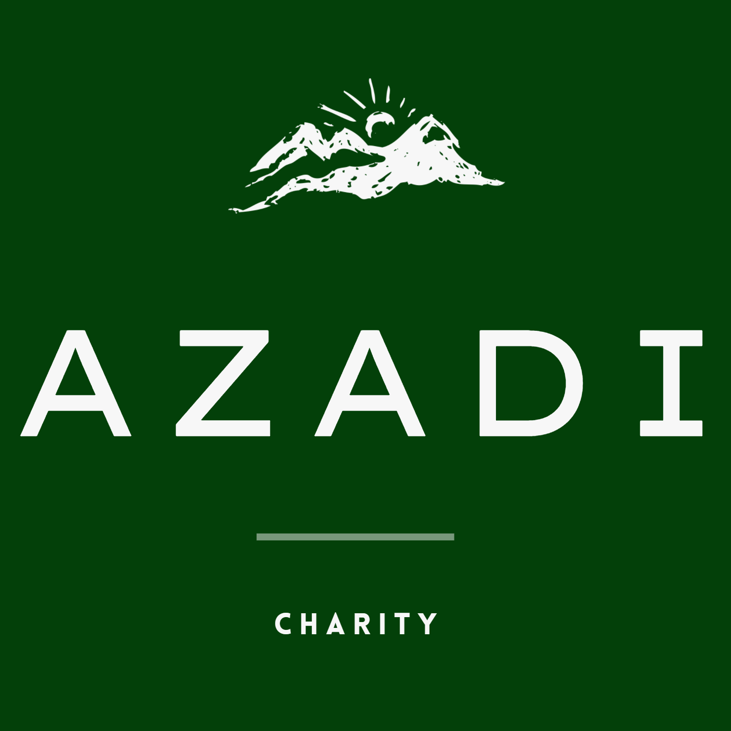 Jashn E Azadi Projects :: Photos, videos, logos, illustrations and branding  :: Behance