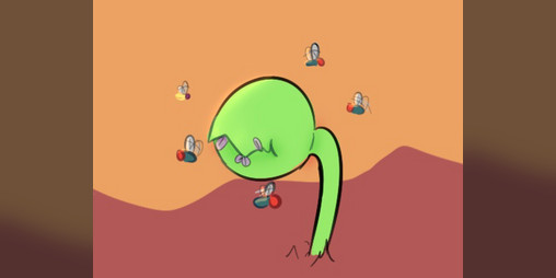 Cover image for Byebye Flies