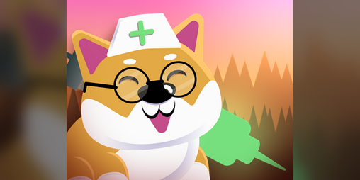 Cover image for Dogtor 911