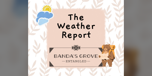 Cover image for The Weather Report