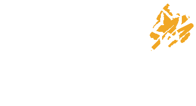 Black Hole Star - LD40