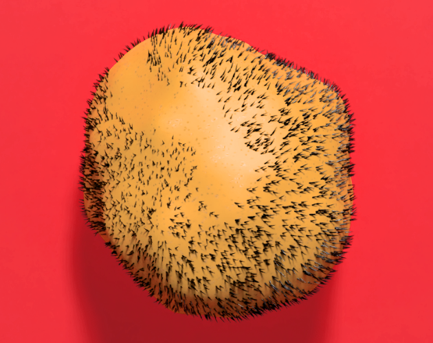 Beard Potato by Peacefield