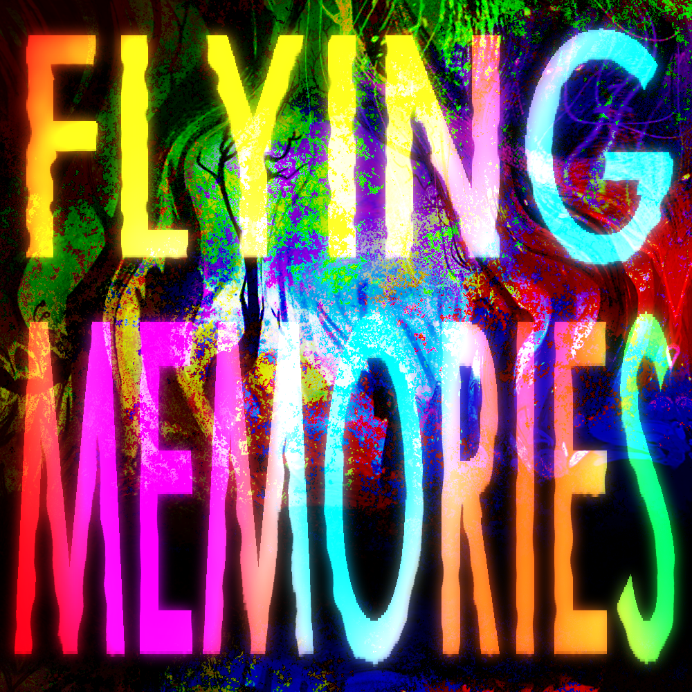 Flying Memories