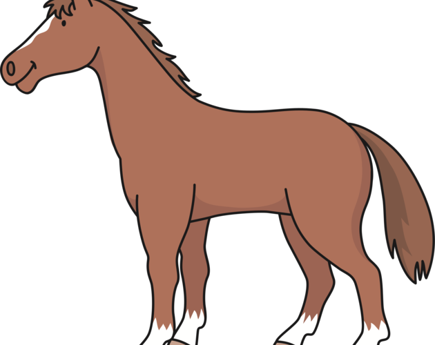 Horse Races