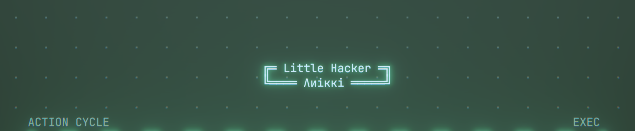 Little Hacker