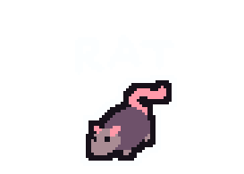 rat!
