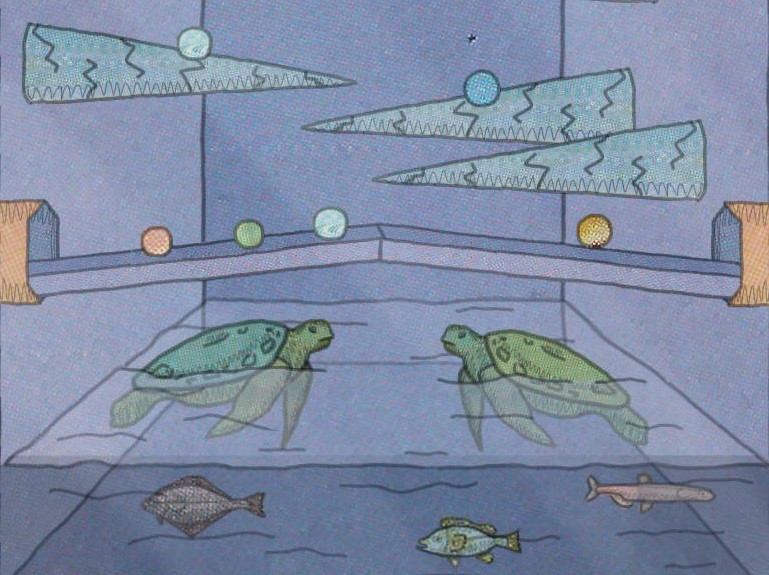 A Turtle's Symphony