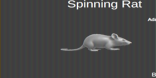 Cover image for Spinning Rat