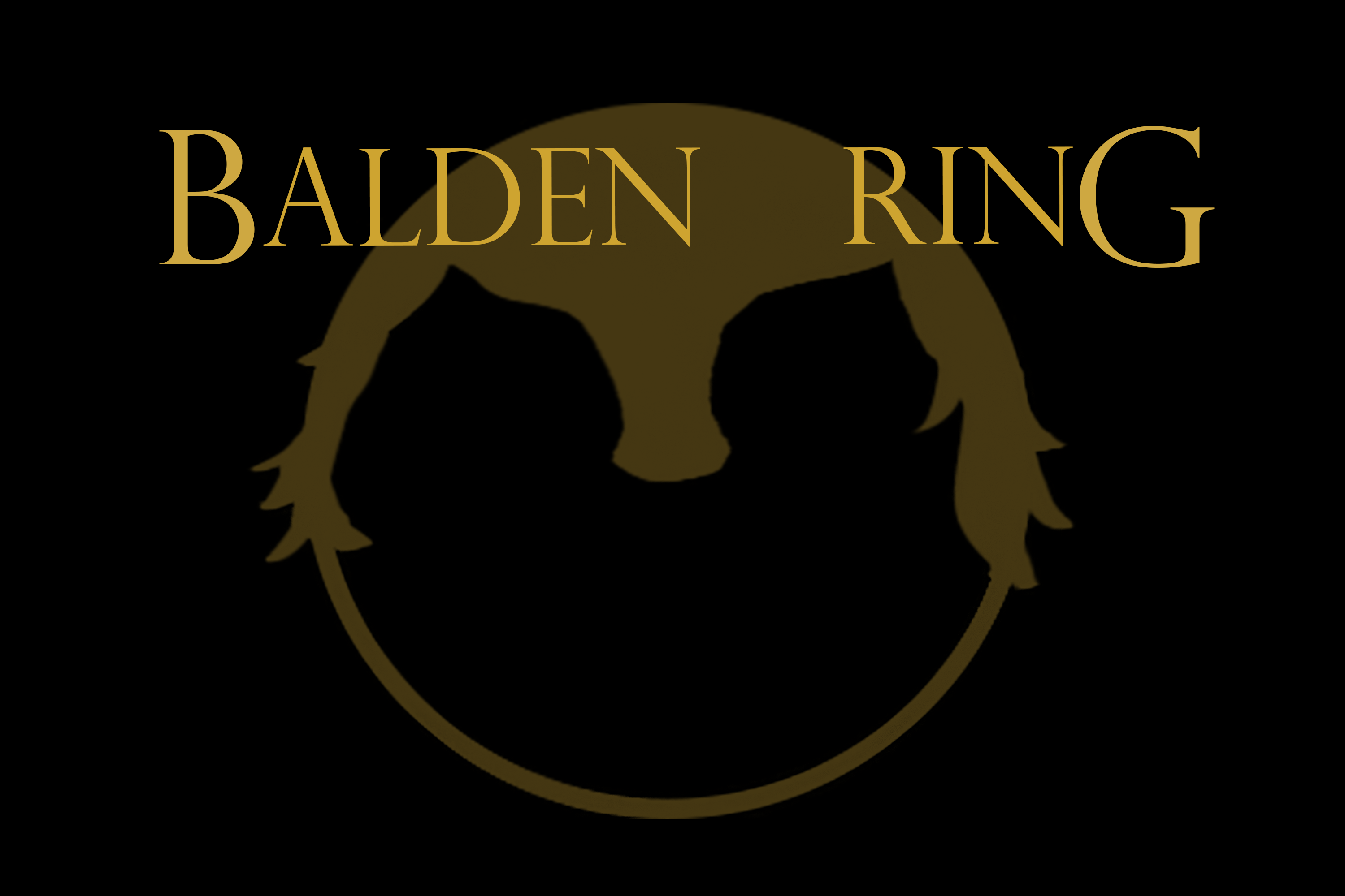 Cover image for Balden Ring