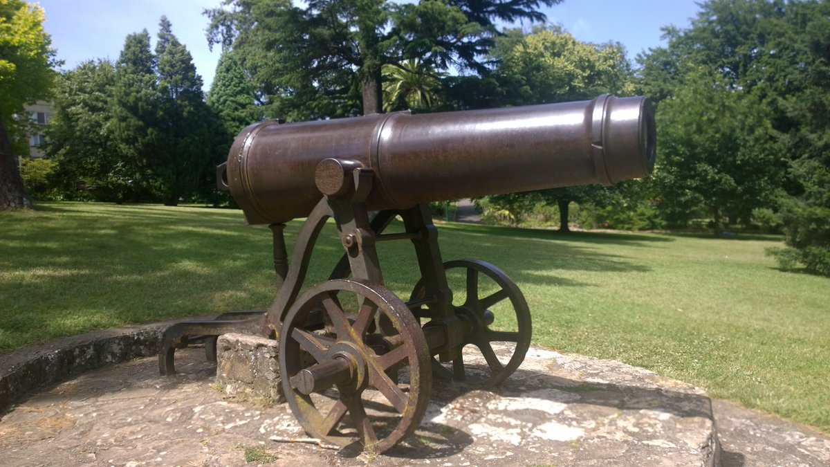 Cannon 2
